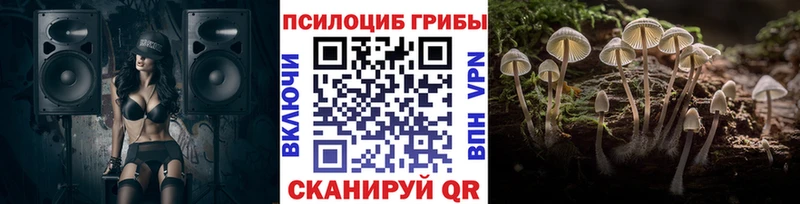 Псилоцибиновые грибы Psilocybe  Коммунар 